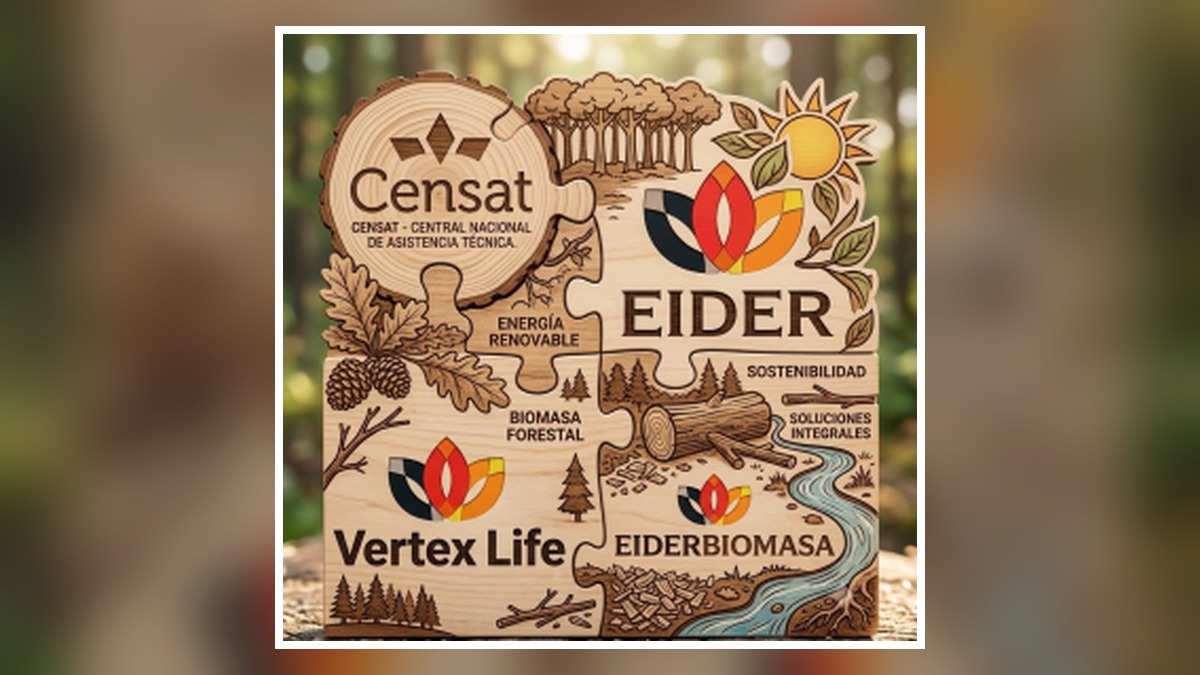 eider-carousel-02
